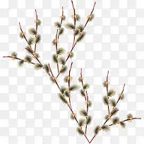 ÌÒÖ¦-¿ÕÈôÍø ÌÒÖ¦-¿ÕÈôÍø