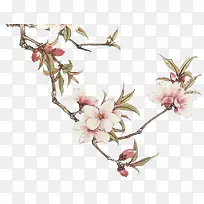 ��֦�ϵ��һ�-������