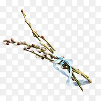 桃枝-空若网 桃枝-空若网