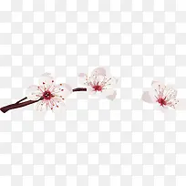 ÊÖ»æÌÒ»¨-¿ÕÈôÍø ÊÖ»æÌÒ»¨-¿ÕÈôÍø