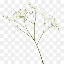 ֦��-������