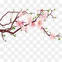 手绘桃花-空若网 手绘桃花-空若网