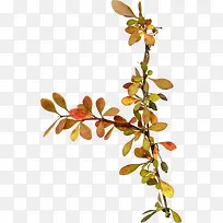 卡通图案-空若网 卡通图案-空若网