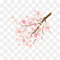 木槿花树枝花朵-空若网 木槿花树枝花朵-空若网