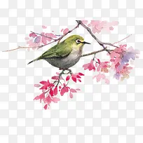 枝叶-空若网 枝叶-空若网