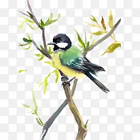 ÂÌÒíСÄñ-¿ÕÈôÍø ÂÌÒíСÄñ-¿ÕÈôÍø