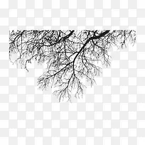 ��֦֦��װ��-������