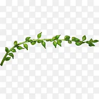 ��֦-������