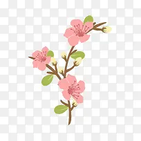 花朵-空若网 花朵-空若网