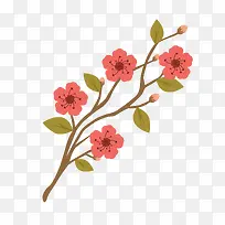 花-空若网 花-空若网