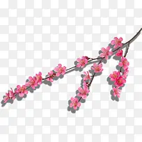 �߽��һ���֦-������