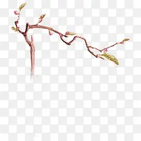 ��ѿ-������