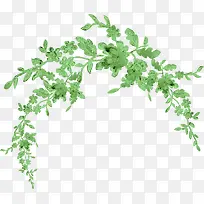 装饰绿植-空若网 装饰绿植-空若网