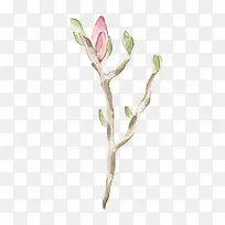 ÄÛÑ¿Ê÷Ö¦-¿ÕÈôÍø ÄÛÑ¿Ê÷Ö¦-¿ÕÈôÍø