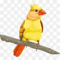 卡通树枝上的鸟-空若网 卡通树枝上的鸟-空若网