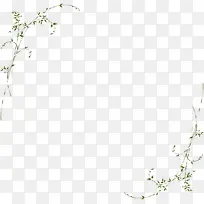 Ψ����֦�����߿�-������