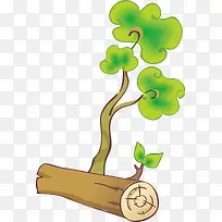 Ê÷¸ÉÊ÷Ö¦-¿ÕÈôÍø Ê÷¸ÉÊ÷Ö¦-¿ÕÈôÍø