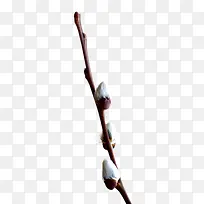 桃枝-空若网 桃枝-空若网