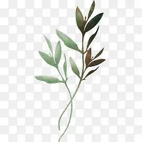 ֦Ҷ-������