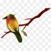 小鸟-空若网 小鸟-空若网