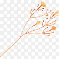 卡通-空若网 卡通-空若网