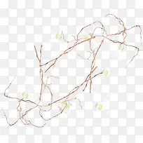 ��֦��Ҷ-������