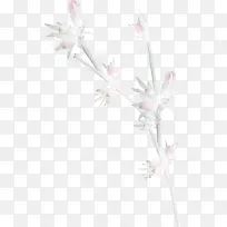 冬枝装饰素材-空若网 冬枝装饰素材-空若网