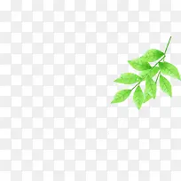 卡通清新春天树叶树枝-空若网 卡通清新春天树叶树枝-空若网