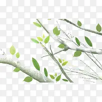 ��֦-������