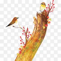 树枝上的小鸟-空若网 树枝上的小鸟-空若网