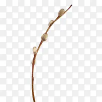 桃枝-空若网 桃枝-空若网