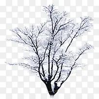 冬天树枝枝丫-空若网 冬天树枝枝丫-空若网