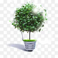 树枝灯泡-空若网 树枝灯泡-空若网