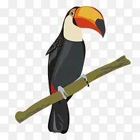 矢量大嘴鸟-空若网 矢量大嘴鸟-空若网