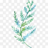 ��֦-������