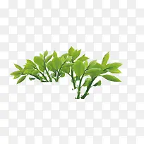 ��֦-������