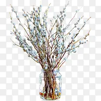 桃枝-空若网 桃枝-空若网