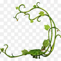 ��Ҷ��֦��-������