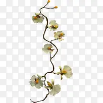 野花枝-空若网 野花枝-空若网