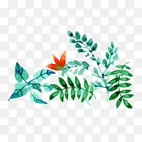 ˮ����Ҷֲ��-������