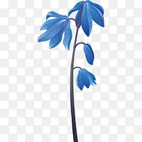 ��ͨ��Ҷ-������