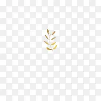 ��֦��Ҷ-������