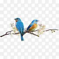 枝叶-空若网 枝叶-空若网