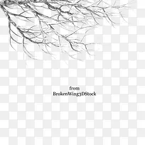 手绘冬天的树枝条-空若网 手绘冬天的树枝条-空若网
