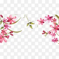 ����ӣ���߿�-������