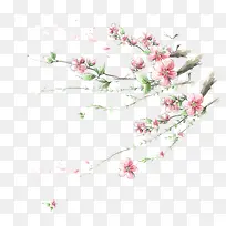 植物海报花朵树枝-空若网 植物海报花朵树枝-空若网