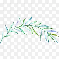 ˮ����֦-������