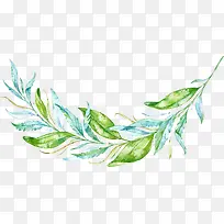 ˮ����Ҷ-������