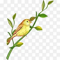 手绘卡通小鸟-空若网 手绘卡通小鸟-空若网