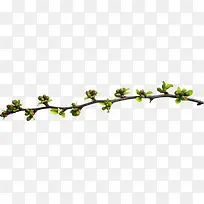 桃枝-空若网 桃枝-空若网